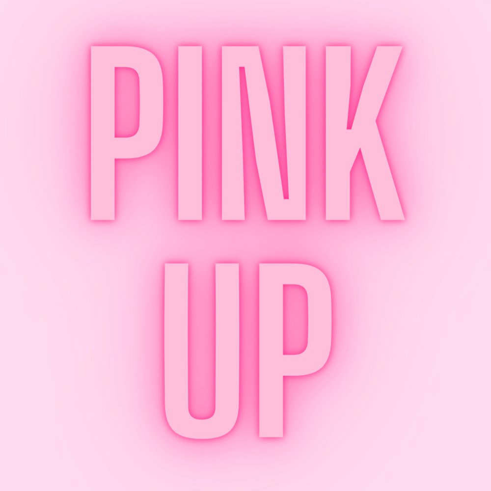 Pink Up - MAKEUPMX Distribuidora