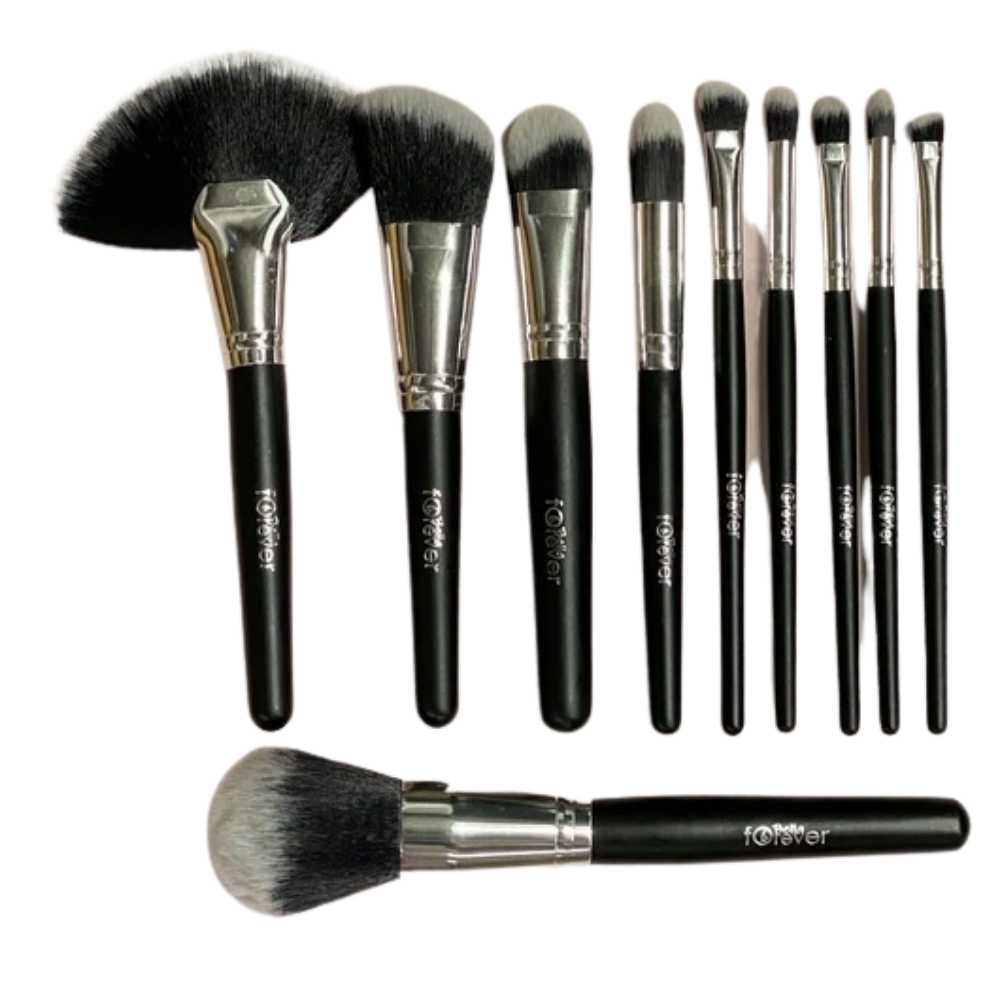SILVER BRUSH SET 10 PCS
